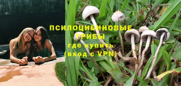 apvp Алексеевка