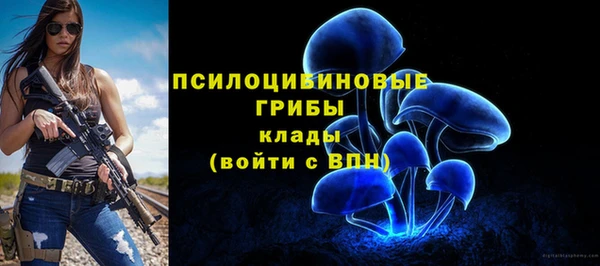 твердый Семилуки
